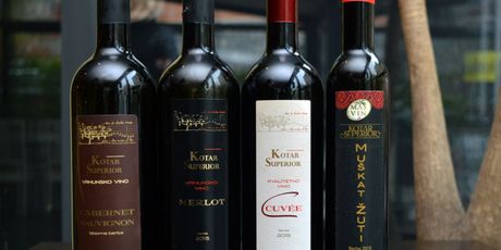 Wine & Music - 7
