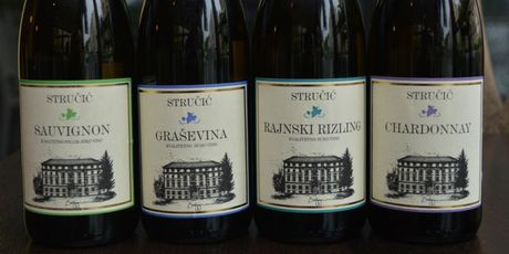 Wine & Music - 9