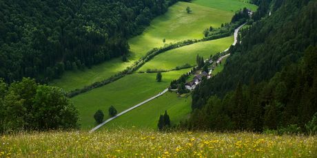 Logarska dolina - 9