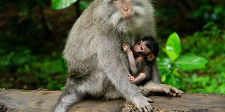 Bali - 18