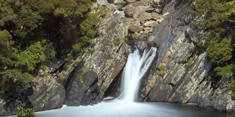 Yakushima - 3