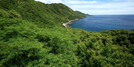 Yakushima - 5