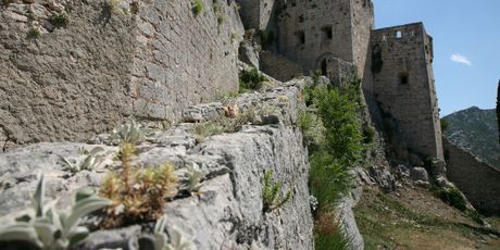 Klis - 5