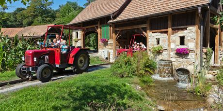 Familypark Austrija - 6
