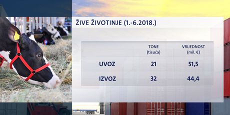 Uvoz i izvoz živih životinja u prvih šest mjeseci 2018. godine (Foto: Dnevnik.hr)