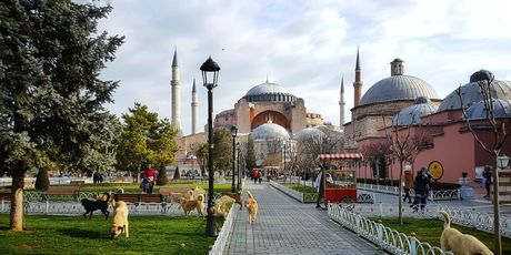 Valentina u Istanbulu - 43