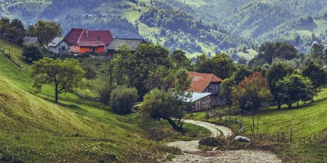Transilvanija