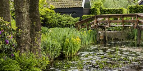 Giethoorn - 3