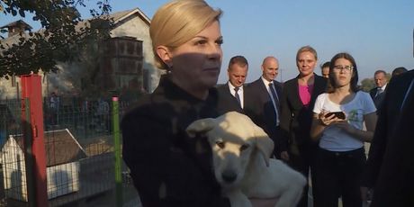 Predsjednica Kolinda i njen pas (Foto: Dnevnik.hr) - 1