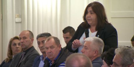 Ljiljana Alvir (Dnevnik.hr)