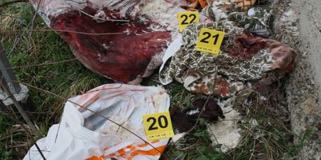 Zbog brutalnog ubojstva ubojica je zaradio nadimak slavonski mesar (Foto: Dnevnik.hr) - 5