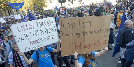 Masovni prosvjed protiv izlaska Velike Britanije iz Europske unije (Foto: AFP) - 2