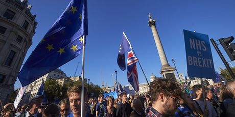 Masovni prosvjed protiv izlaska Velike Britanije iz Europske unije (Foto: AFP) - 3