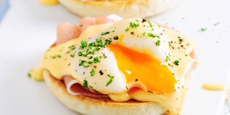 Hollandaise - 1