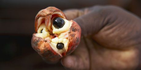 Ackee