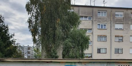 Miro Modul i njegov graffit posvećen ljetu (fotografirano sa Samsung Galaxy Note10+)
