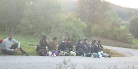 Migranti kod Pokupskog (Foto: Dnevnik.hr)