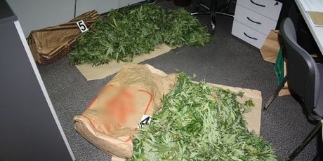 Policija u kući u Zaprešiću pronašla 30 kilograma marihuane (Foto: PU zagrebačka) - 2