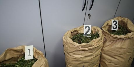 Policija u kući u Zaprešiću pronašla 30 kilograma marihuane (Foto: PU zagrebačka) - 3