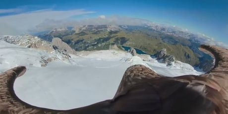 Orao s kamerom na leđima preletio Alpe (Foto: Dnevnik.hr) - 3