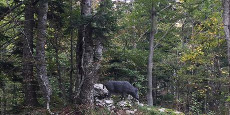 Južni Velebit - 3