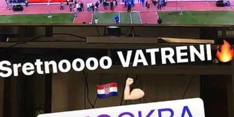Vedran Ćorluka (Screenshot)