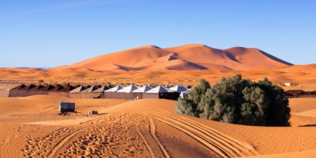 Sahara