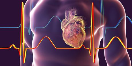 Otkucaji srca (Ilustracija: Getty)