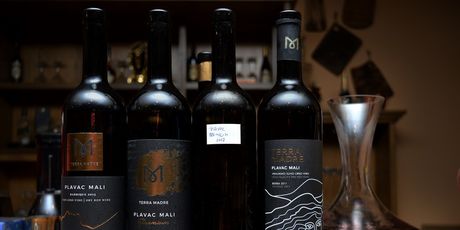 Terra Madre - 7