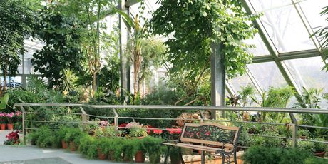 Flower Dome, Singapore - 1