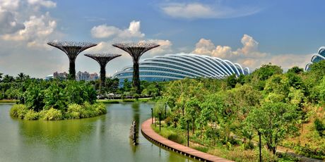 Flower Dome, Singapore - 2