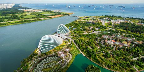 Flower Dome, Singapore - 4