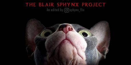 Horor mačke (Foto: Instagram/sphynx_flix)