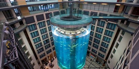 Aquadom