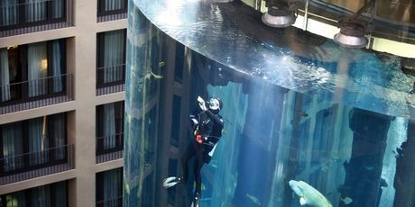 Aquadom