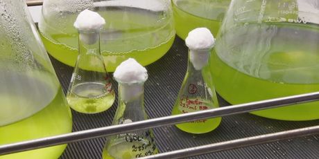 Laboratorijski uzorci (Foto: Dnevnik.hr)