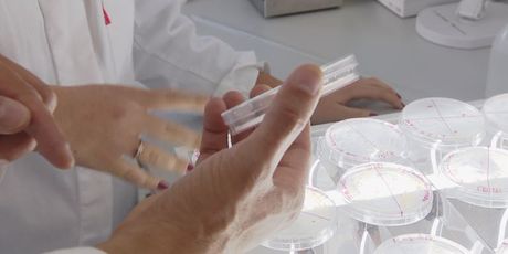 Znanstvenici u laboratoriju (Foto: Dnevnik.hr)