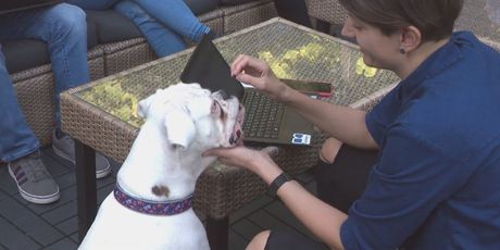 Bolja Hrvatska: Od 22 kvadrata do najbržerastuće tvrtke (Foto: Dnevnik.hr) - 2