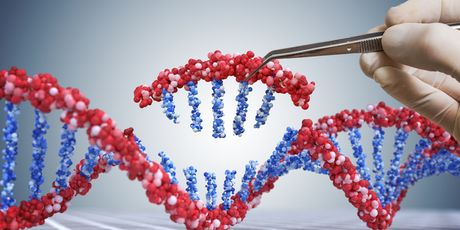 Genetski inženjering (Ilustracija: Getty)