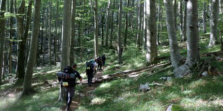 Highlander Velebit - 24