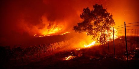 Požari u Kaliforniji (Foto: AFP) - 2