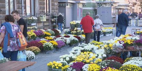 Cvijeće (Foto: Dnevnik.hr)