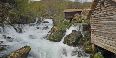 Banja Luka, BiH - 5