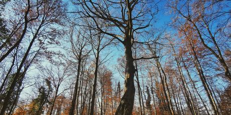 Kameni svati, Medvednica - 2
