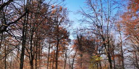 Kameni svati, Medvednica - 8
