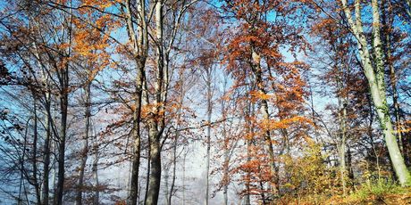 Kameni svati, Medvednica - 9