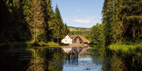 Čogrljevo jezero i Bundevijada - 1