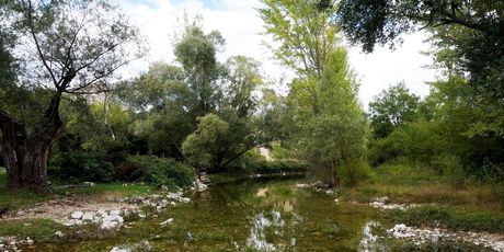 Izvor Cetine - 1