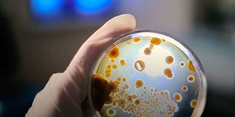 Veliko otkriće na Ruđeru - 1