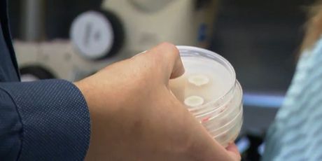 Veliko otkriće na Ruđeru - 8